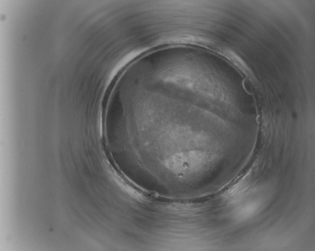 X0000063511036200601271805