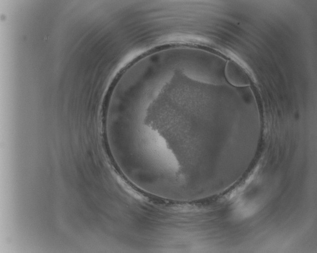 X0000063511037200601271805