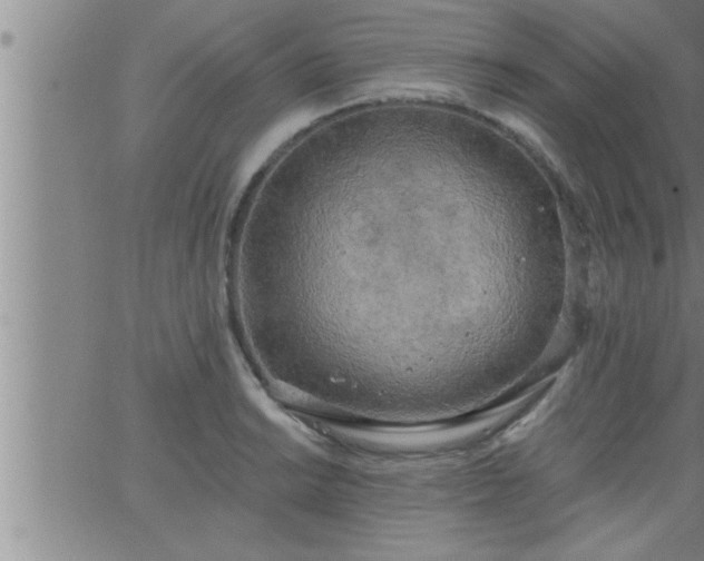 X0000063511038200601271805