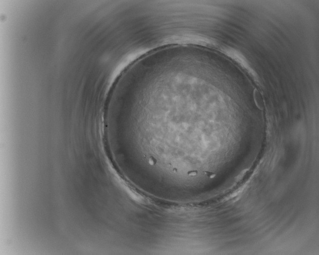 X0000063511040200601271805