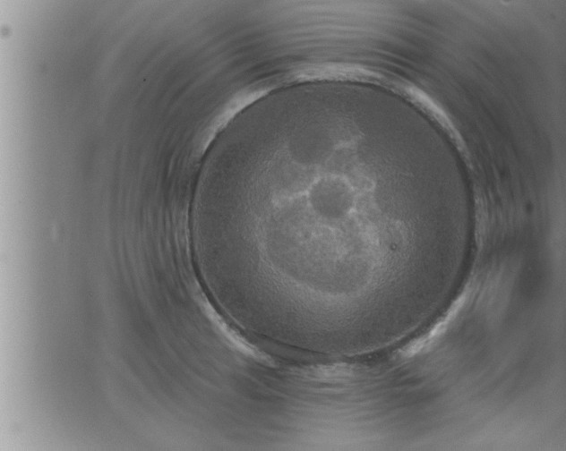 X0000063511041200601271805