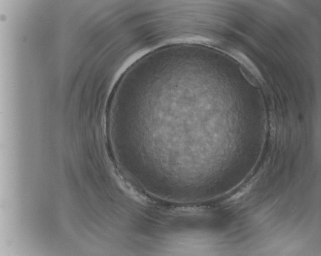 X0000063511044200601271806