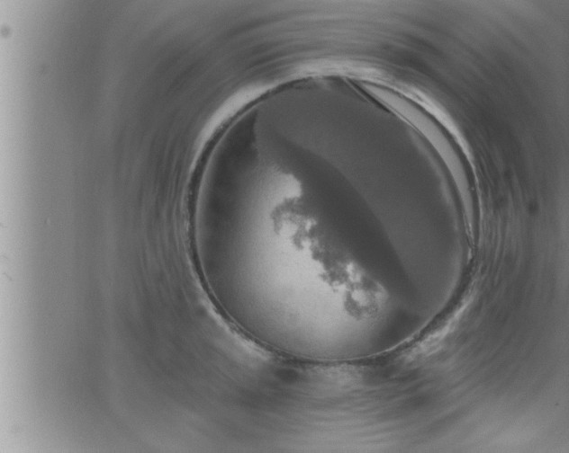 X0000063511045200601271806