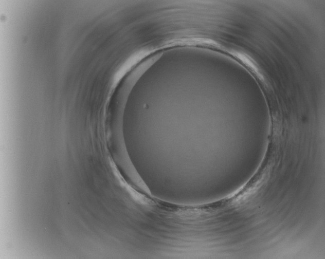 X0000063511046200601271806