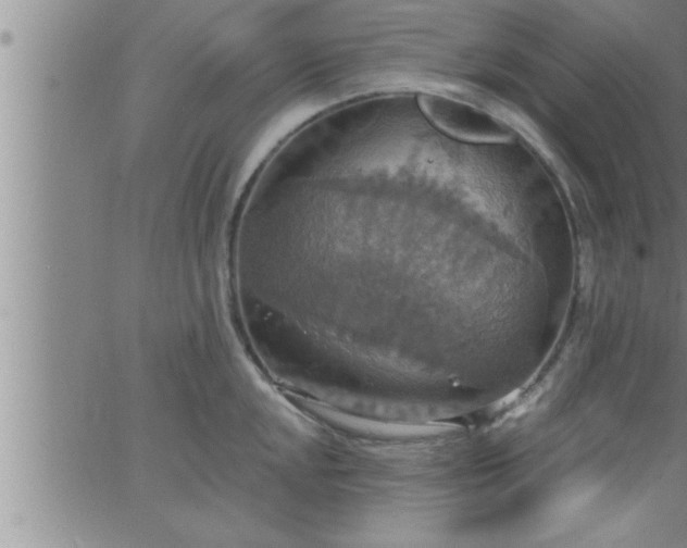 X0000063511048200601271806