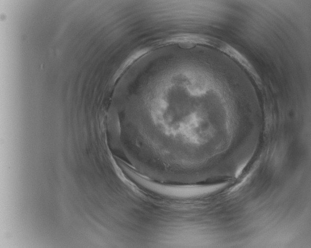 X0000063511049200601271806