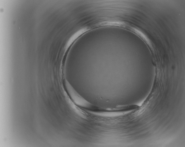 X0000063511050200601271806