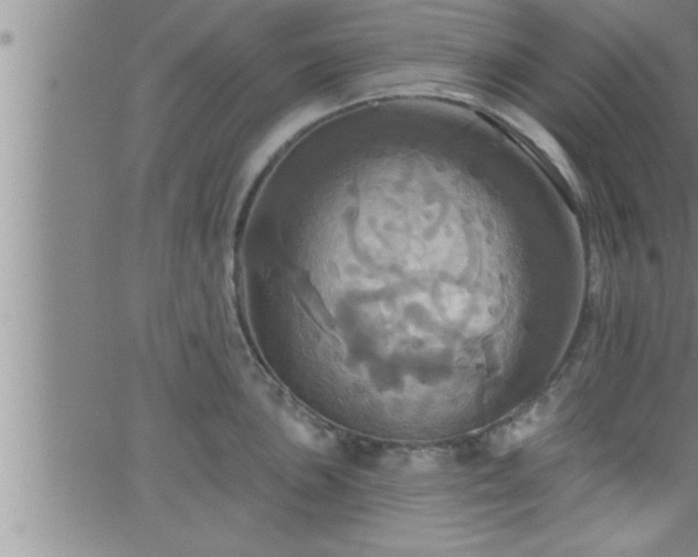 X0000063511051200601271806