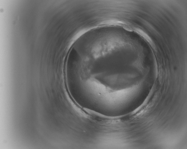 X0000063511055200601271806