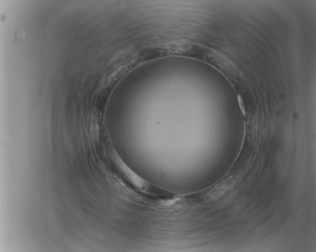 X0000063511058200601271805