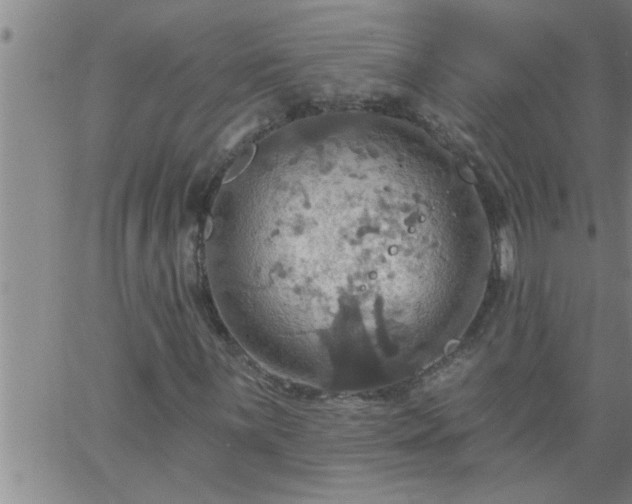 X0000063511059200601271805