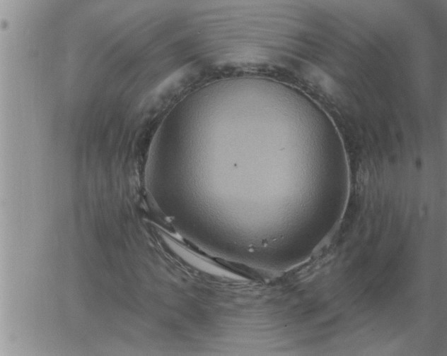 X0000063511062200601271805