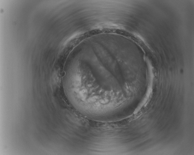 X0000063511063200601271805