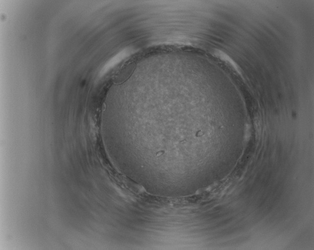 X0000063511064200601271805