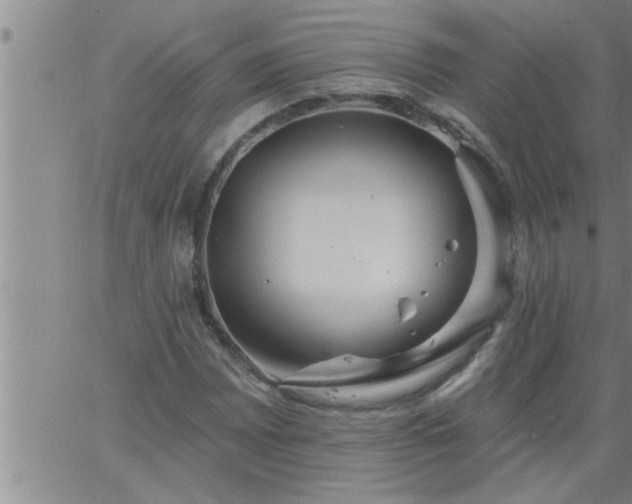 X0000063511065200601271805