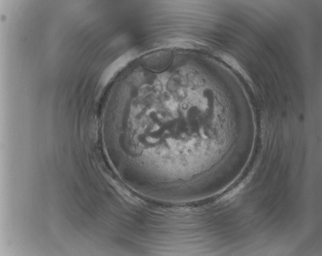 X0000063511067200601271805