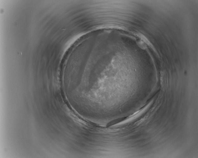 X0000063511068200601271805