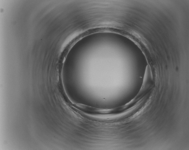 X0000063511069200601271805