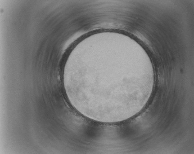 X0000063511070200601271805