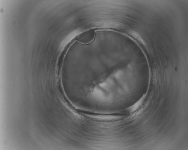 X0000063511071200601271805