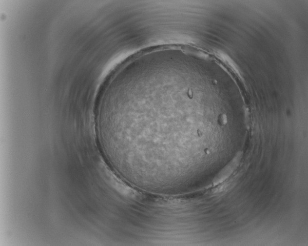 X0000063511072200601271805