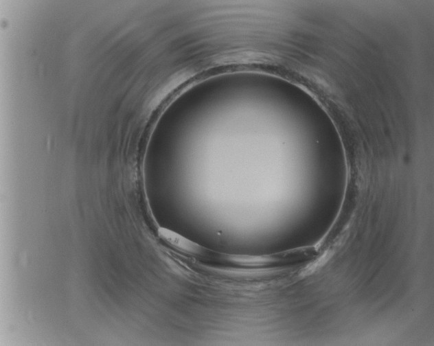 X0000063511073200601271805