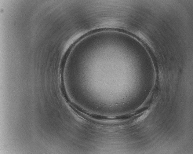 X0000063511077200601271805