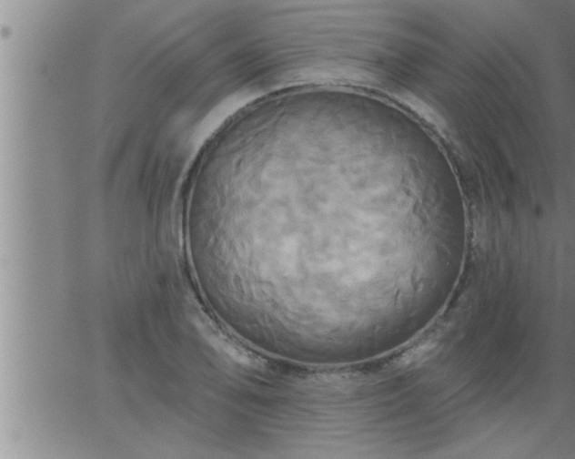 X0000063511078200601271805