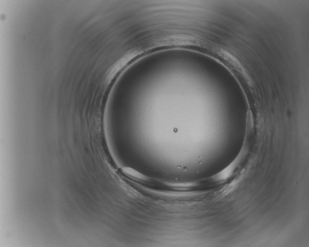 X0000063511081200601271805