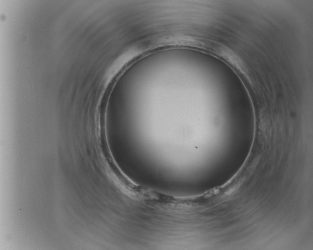 X0000063511082200601271805