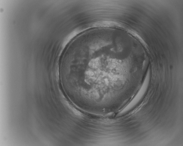 X0000063511083200601271805