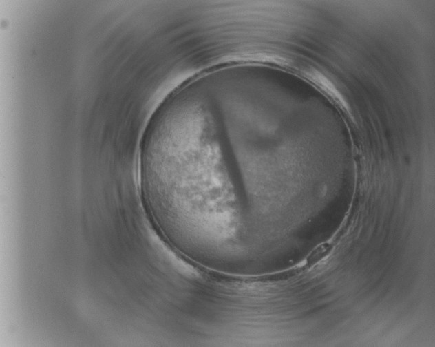 X0000063511084200601271804