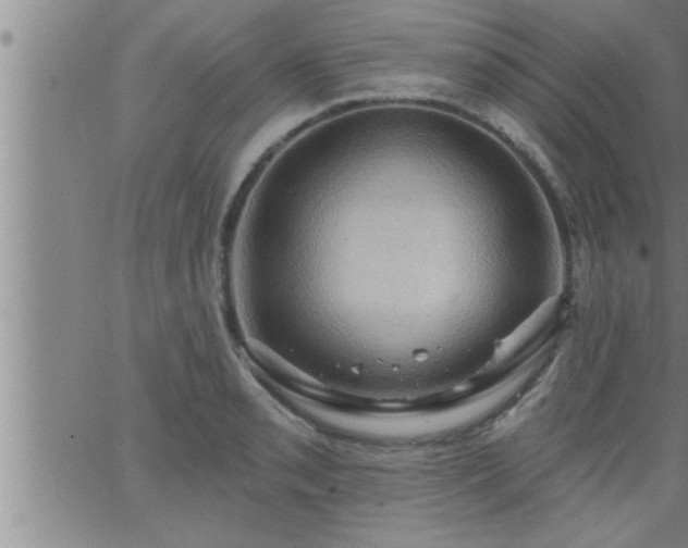 X0000063511085200601271804