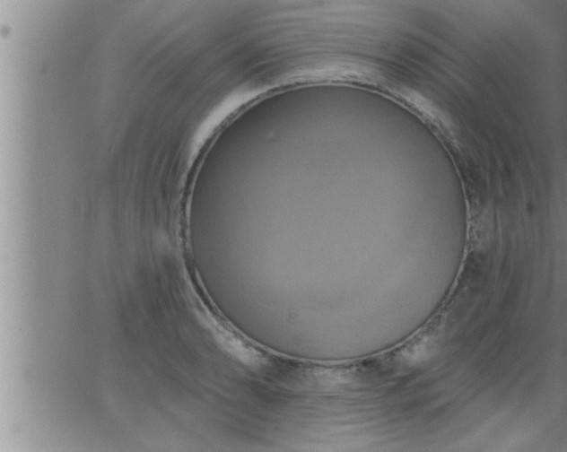 X0000063511086200601271804