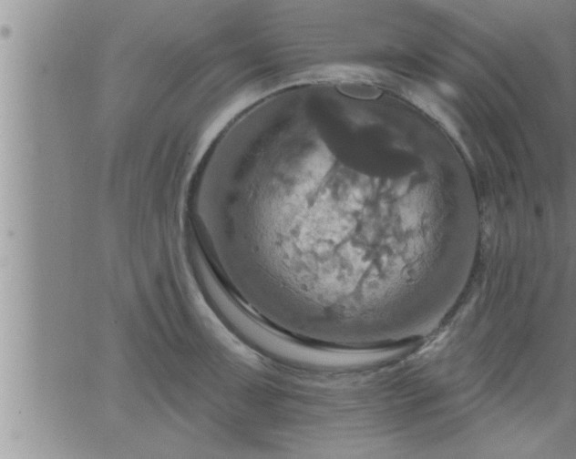 X0000063511091200601271804