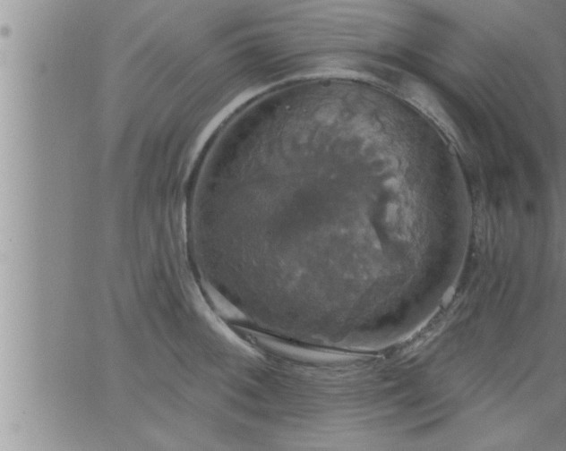 X0000063511092200601271804