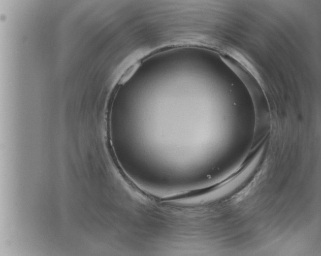 X0000063511093200601271804