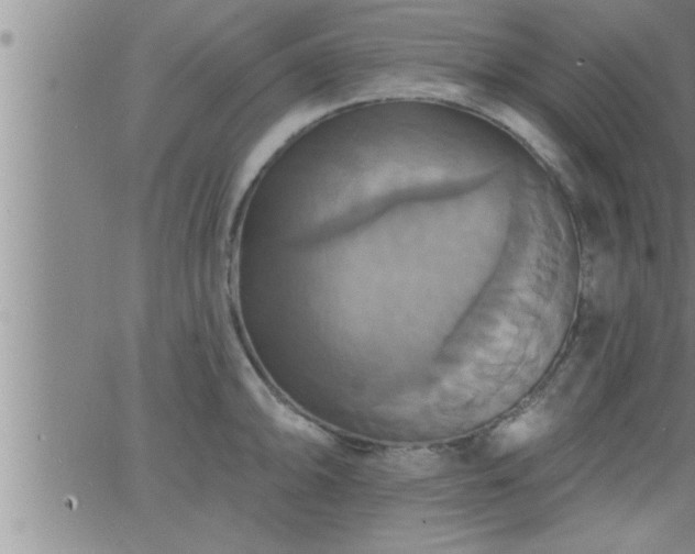 X0000063511094200601271804