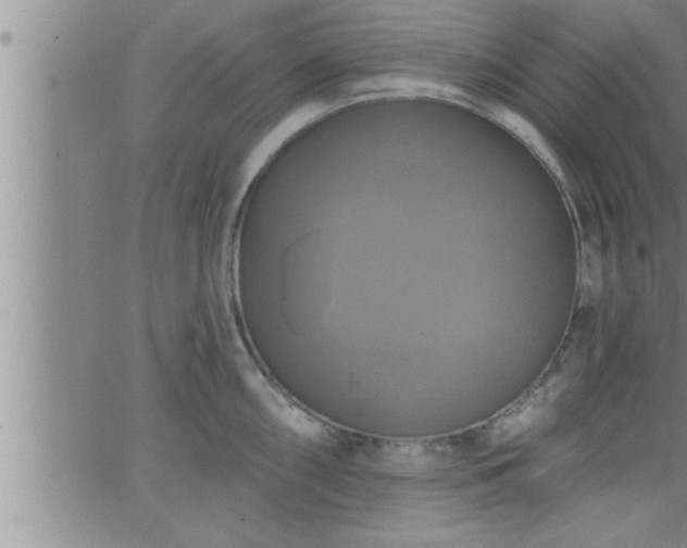 X0000063511098200601271804