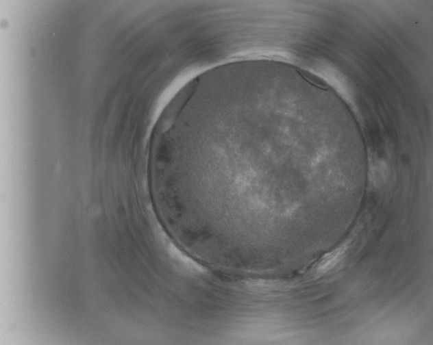 X0000063511102200601271804