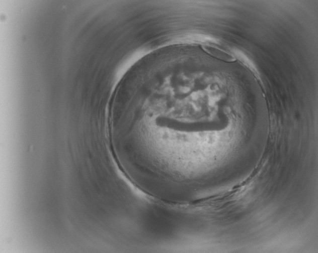 X0000063511103200601271804