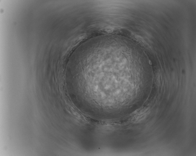 X0000063511105200601271803