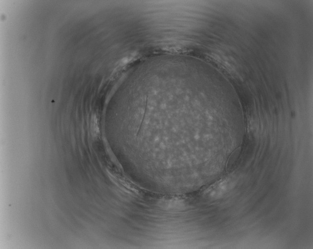 X0000063511106200601271803