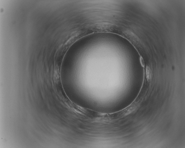 X0000063511107200601271803