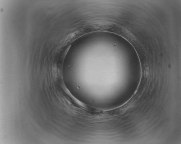 X0000063511108200601271803