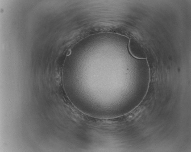 X0000063511109200601271803