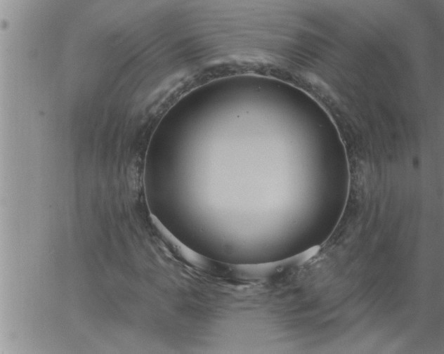 X0000063511110200601271803