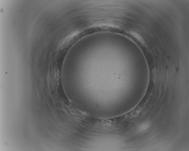 X0000063511111200601271803