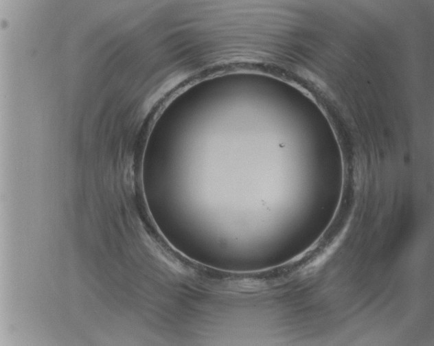 X0000063511113200601271804