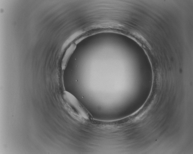 X0000063511114200601271804